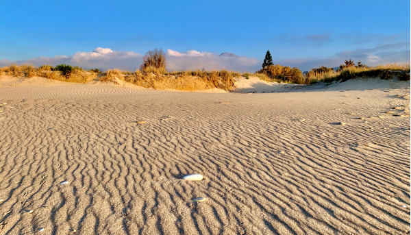 sentieri di sabbia
