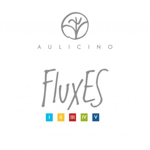 Album strumentali Fluxes di Aulicino